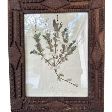 French Tramp Art Herbarium