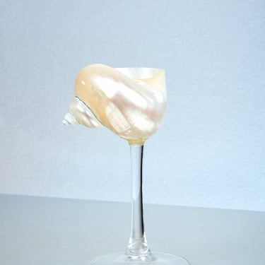 Curly Shell Glass