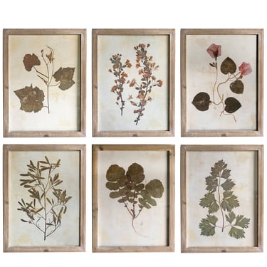 Pressed Wildflower Botanical Prints