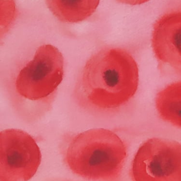 Red Blood Cells - original watercolor painting of erythrocytes 