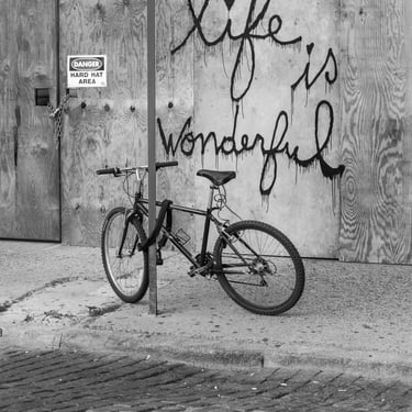 Life Is Wonderful 11x17 B&W Print