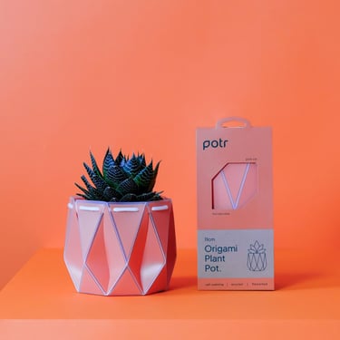 Self-Watering POTR | Coral 11cm
