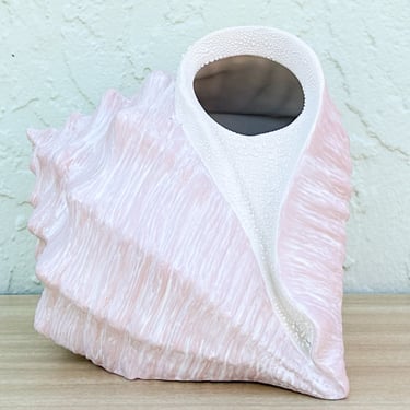 Conch Shell Tissue Holder
