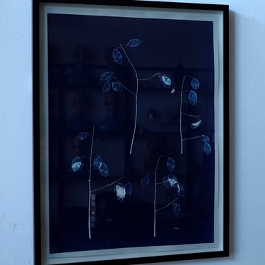 Framed Lunaria Plant Cyanotype on Watercolor Paper