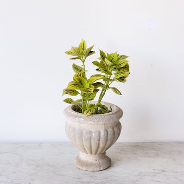 Grandon Frès Stone Planter