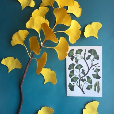 Crepe Paper Gingko Branch -- Paper Flowers for Weddings - Home Decor - Floral Wholesale 