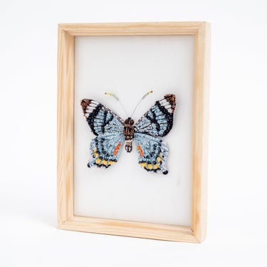 Fluted Swallowtail Framed Beaded Art