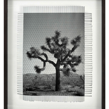 Framed Art - KARMA TREE 7