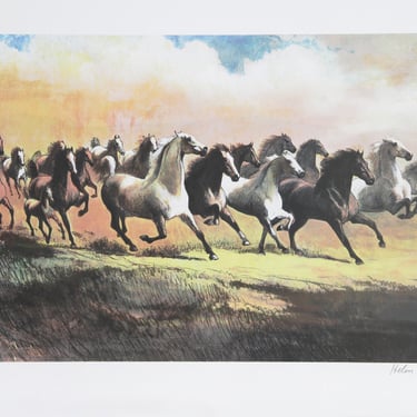 Gray Stallion by Helen Hayse Lithograph ca 1980 