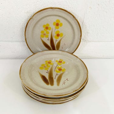 Vintage Side Plate Dessert Salad Bread Set of 6 Classics Dinner Plates 1970s Hearthside Wellington 70s Stoneware Floral Flower Power Daisy 