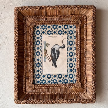 Gusto Woven Frame with Aldrovandi Hand-Colored Ornithological Engraving BI