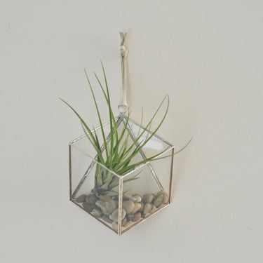 Murus Terrarium, medium -- for air plant terrarium or succulent -- stained glass -- terrarium supplies -- eco friendly 