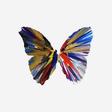 Butterfly Spin Painting by Damien Hirst, 2009 