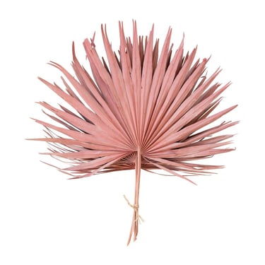 CCO Pink Bloom Dried Palm Leaf