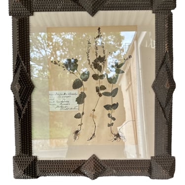 French Tramp Art Frame w Herbarium