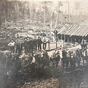 Antique Logging Camp Photograph from Turn of the Century  - Rare Antique Occupational Photos - Workwear Flannel Clothing - Frontier Life 