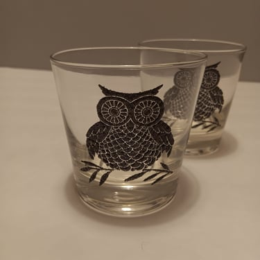 Owl Rocks Old Fashioned Glasses by West Virginia Glass Vintage from the 1970s | Set of 2 
