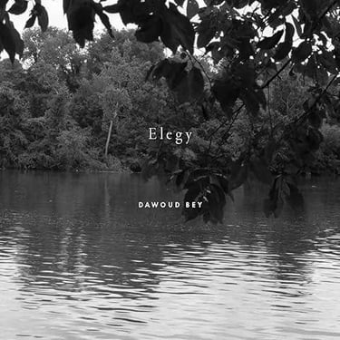 Elegy by Dawoud Bey