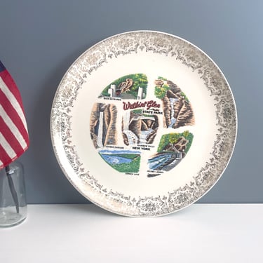 Watkins Glen State Park souvenir plate - vintage 1960s NY souvenir 