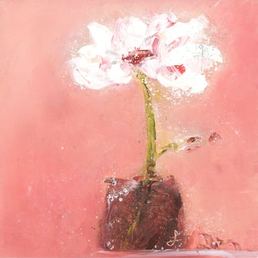 Expressive Oil Painting of White Daisy on Pink Background - Expressive Florals - Still Life Oil Painting Square - Daily Painter - 6x6 