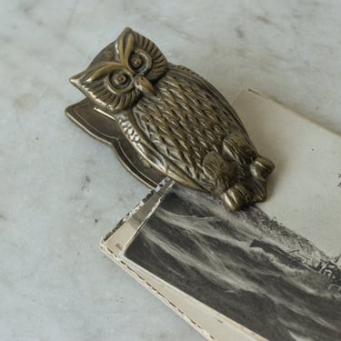 Cast Brass Owl Clip