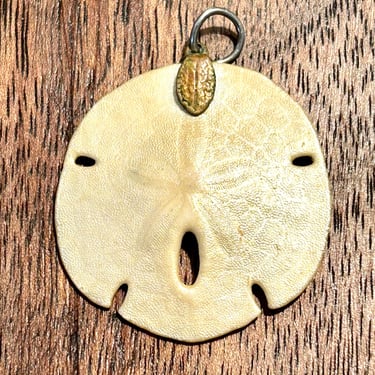 Natural Sand Dollar Pendant Ocean Sea Life Fossil Nature Natural Jewelry Gift Unisex Gender Neutral 