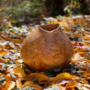 Frederick Williamson | American Studio Craft | Hand-Turned Wood Vase 