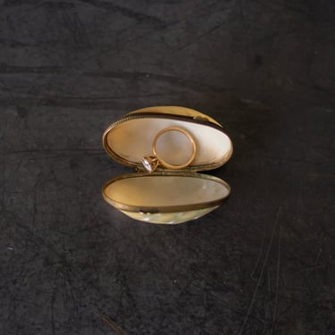 Oyster Shell Pill Box