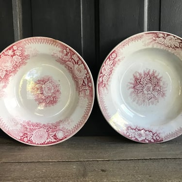 1 French Faïence Bowl Plate, Floral Jardiniere Pattern,  Sarreguemines, Hamage St Armand Nord Earthenware, French Farmhouse Cuisine 