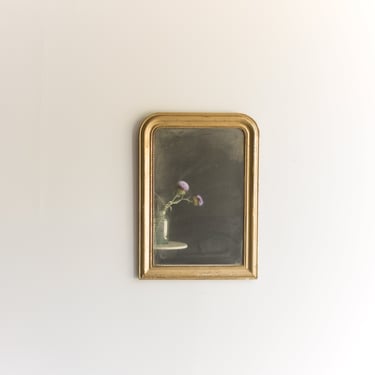 Vintage Louis Philippe Mirror with Red Clay Bole | 24.5 x 34.5