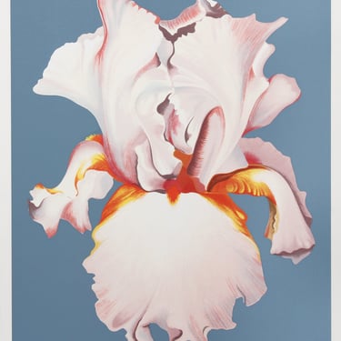 Lowell Blair Nesbitt, White Iris on Blue II, Screenprint 