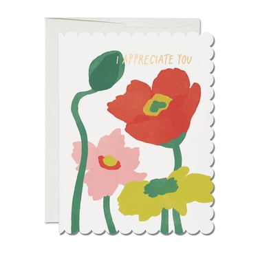 Scalloped Poppy Thank You Card Box Set