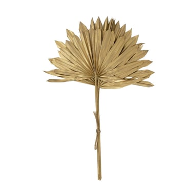 CCO Gold Bloom Dried Palm Leaf