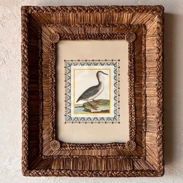 Gusto Woven Frame with Francois Nicolas Martinet Hand-Colored Bird Engraving XXI