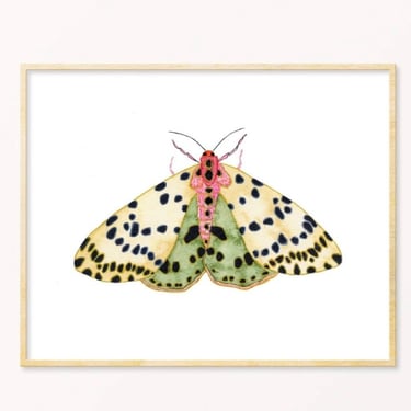 Snoogs &amp; Wilde Art | Moth #7 | 12 x 12