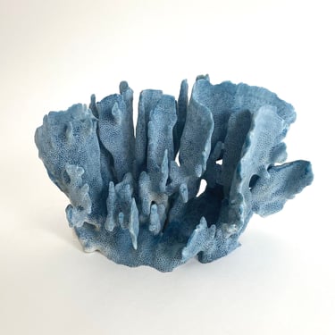 Natural Blue Coral Specimen Beach Home Decor Coastal Decor 