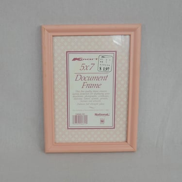 Vintage Light Pink Frame - National Picture & Frame Co - Holds 5