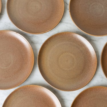 Stoneware Plate Set of 7