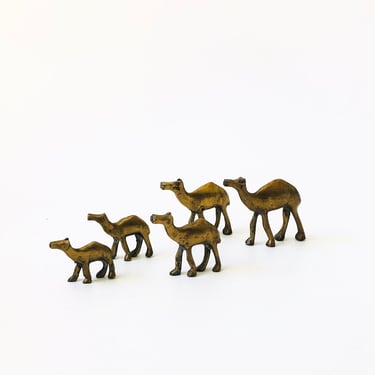 Herd of Brass Camels - Set of 5 