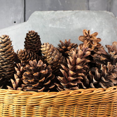 Instant Rustic Decor! | Set of 20 Pine Cones with Vintage Basket | Rustic Christmas Decor | Bixley Shop 