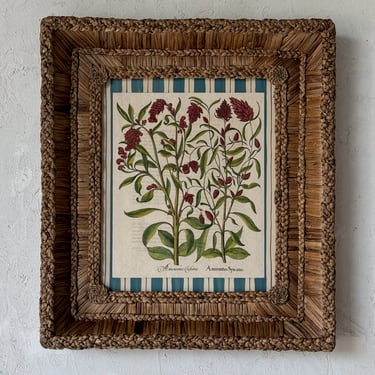17th C. Hand Colored Besler Engraving of Frittillaria in Gusto Woven Frame V
