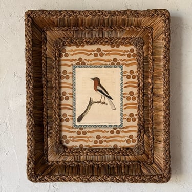 18th C. Eleazar Albin Handcolored Ornithological Engraving in Gusto Wo​ven Frame I