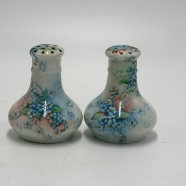 vintage hand painted porcelain salt and pepper shakers 