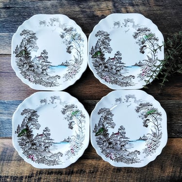 Vintage (6) Myott Meakin Staffordshire 
