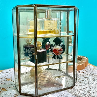 Glass and Brass Curio Display Cabinet, Etched Design, Table Top or Wall Display, Jewelry Case Vintage 