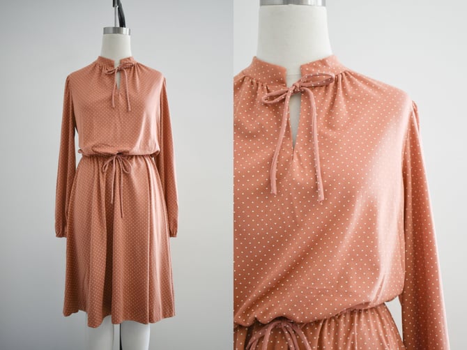 1970s Melissa Lane Terra Cotton Polka Dot Dress 