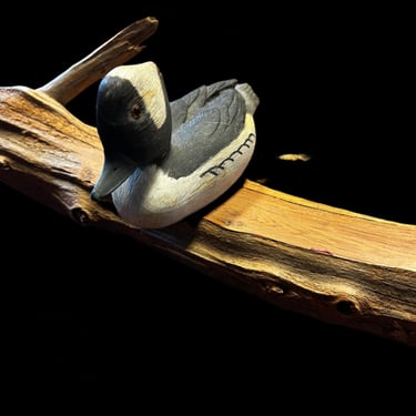 Bufflehead on Wood