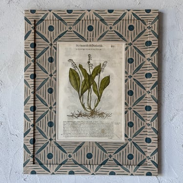 16th C. Pietro Andrea Mattioli Botanical Engraving in Gusto Painted Frame and Mat V