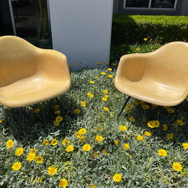 Pair of 1950s 2nd Generation Eames MAX chairs