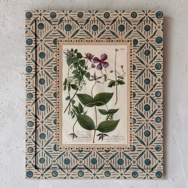 18th C. Weinmann Hand Colored Botanical Engraving in Gusto Blue Painted Frame XII